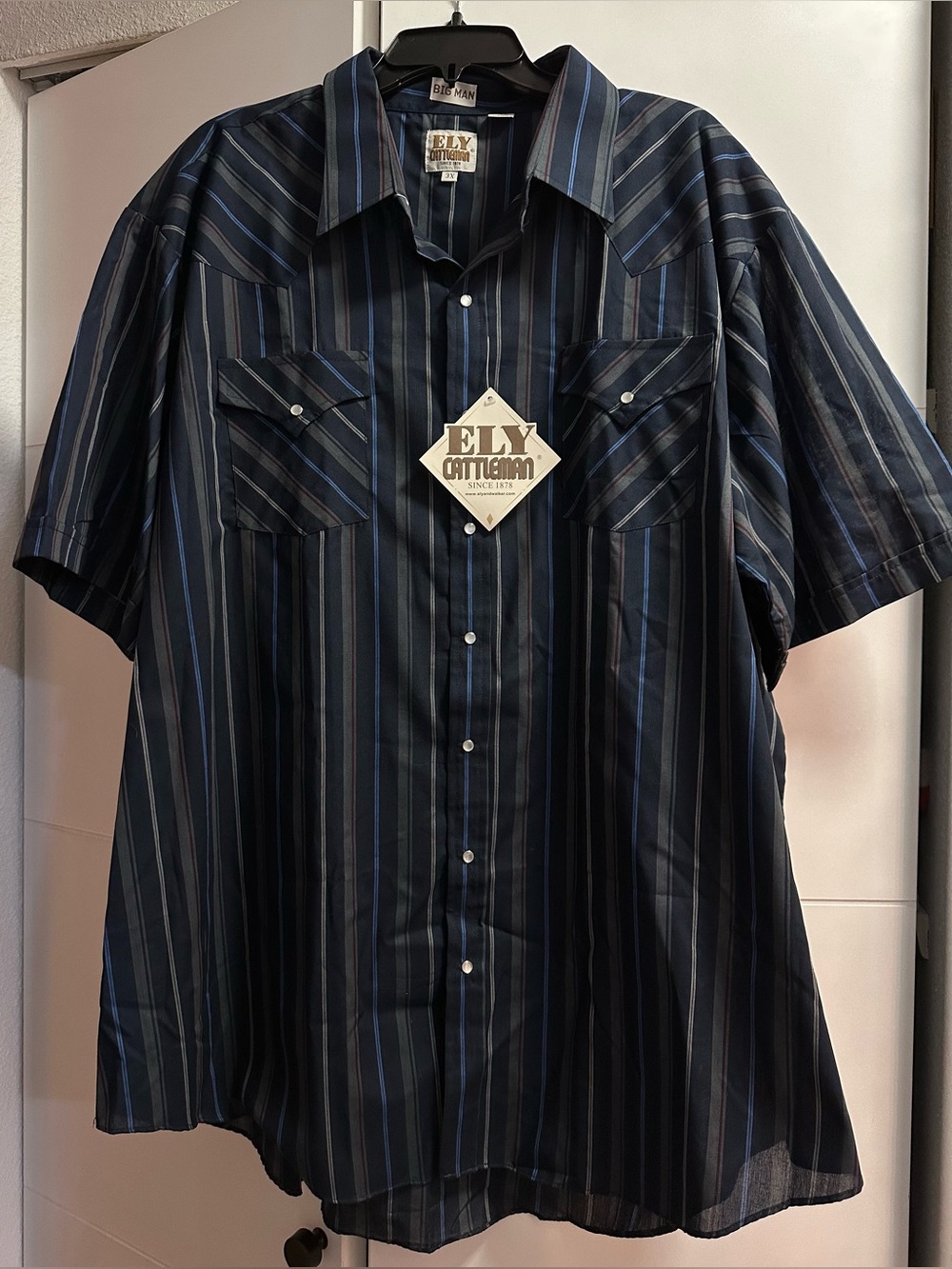 Ely Cattleman Men’s Casual Snap Button Down Shirt Short Sleeve Striped NWT